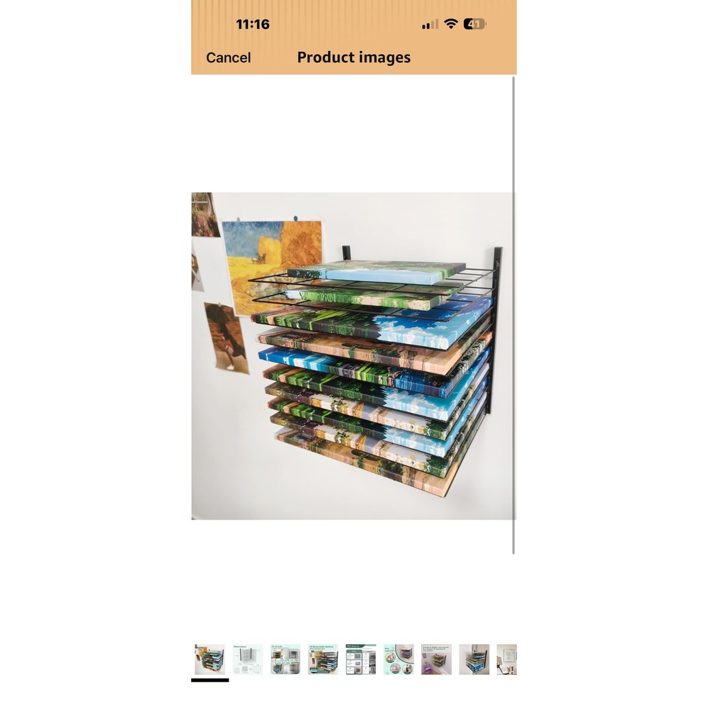 10 Shelf Wall Mounted Art Drying Rack Black Metal Canvas Storage Organizer
